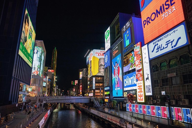 Osaka Night Food Tour: Dotonbori
